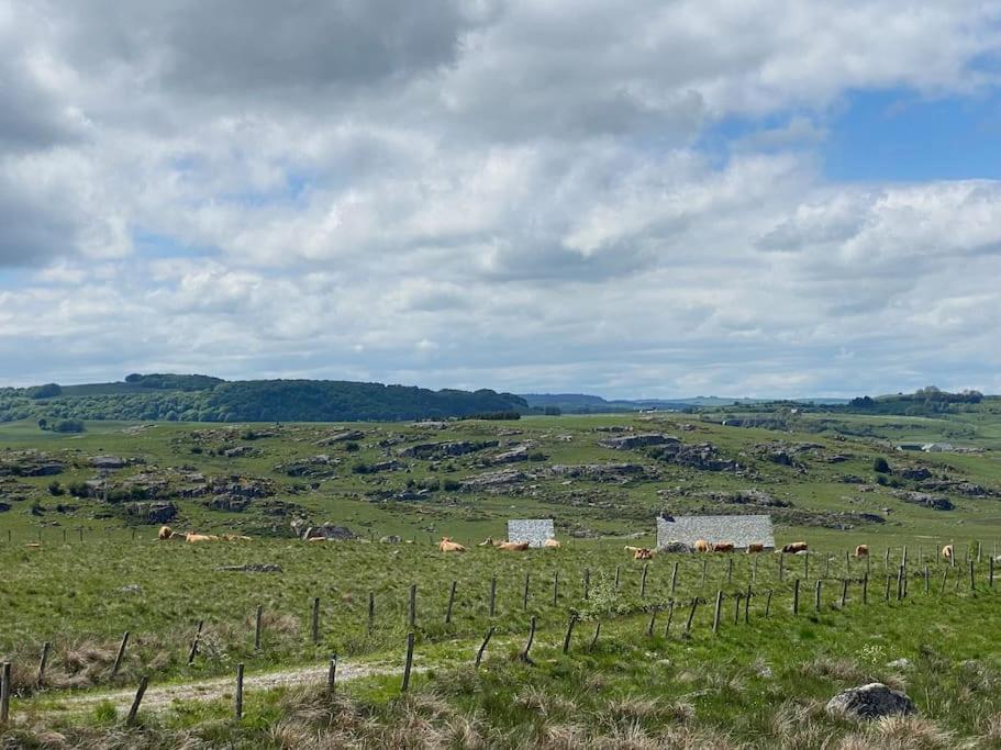 Villa Buron Coeur D'Aubrac à Marchastel  Extérieur photo