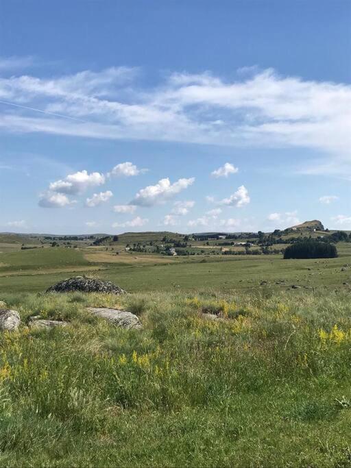 Villa Buron Coeur D'Aubrac à Marchastel  Extérieur photo